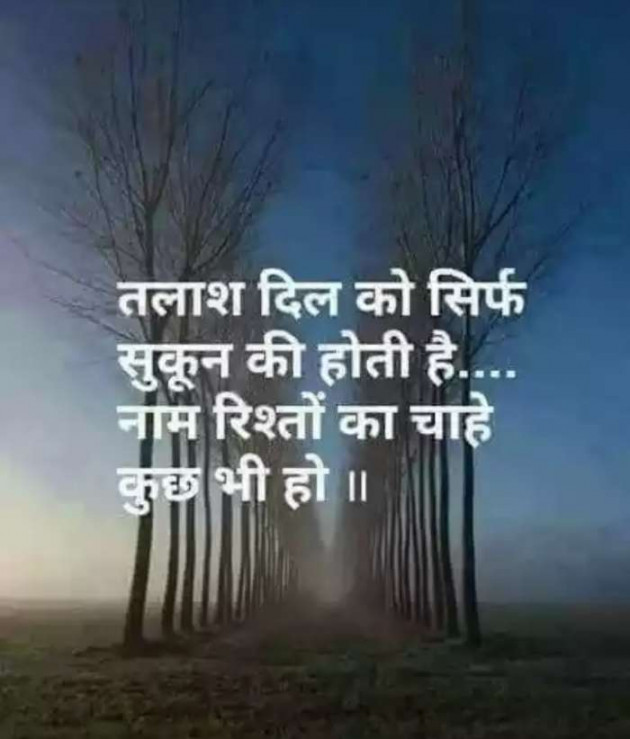 Hindi Blog by Anil Ramavat : 111320937