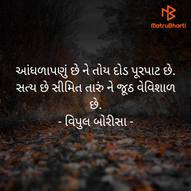 Gujarati Motivational by Vipul Borisa : 111321075