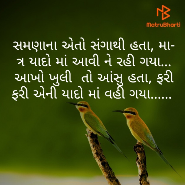 Gujarati Shayri by Tr Ajit : 111321687