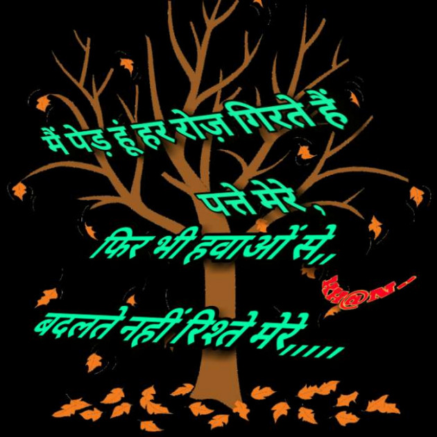 Hindi Shayri by Abbas khan : 111321762