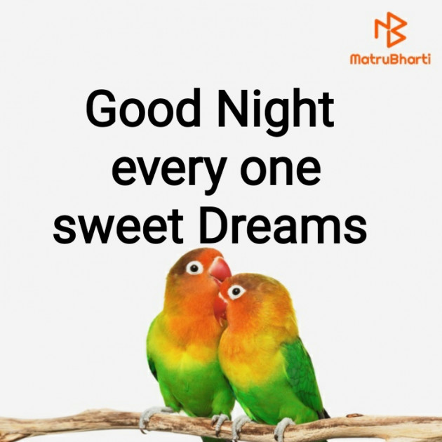 English Good Night by Harshad Patel : 111322918