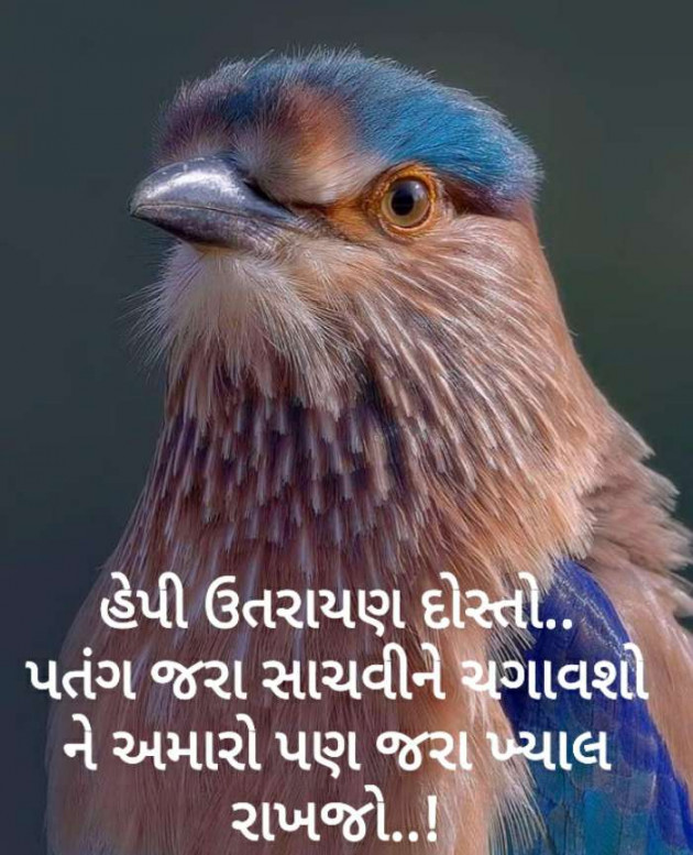 Gujarati Good Night by Harshad Patel : 111323398