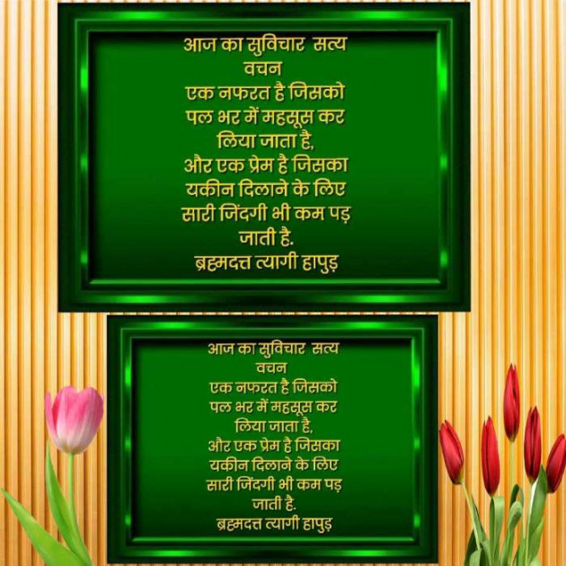 Hindi Thought by ब्रह्मदत्त त्यागी : 111323924