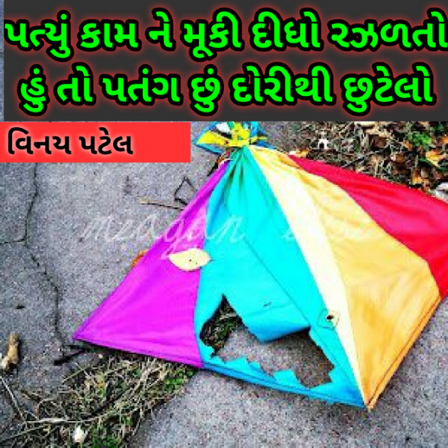 Gujarati Shayri by Patel Vinaykumar I : 111323971