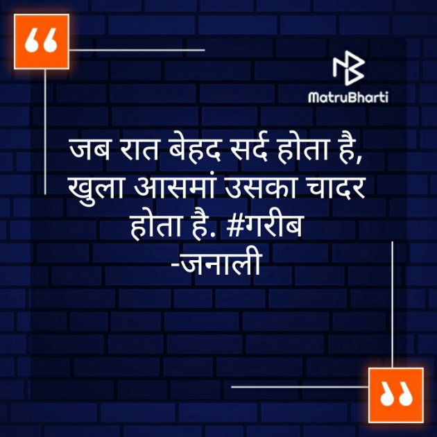Hindi Blog by अनिल जनाली : 111323997