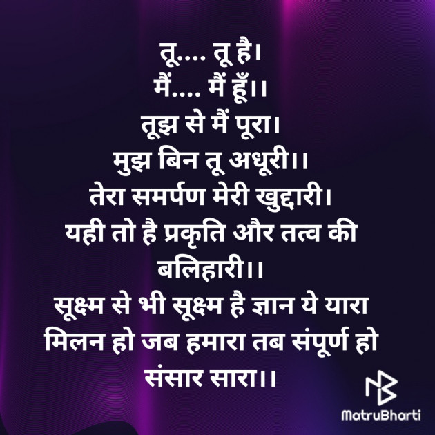 Hindi Shayri by Rudra : 111324291