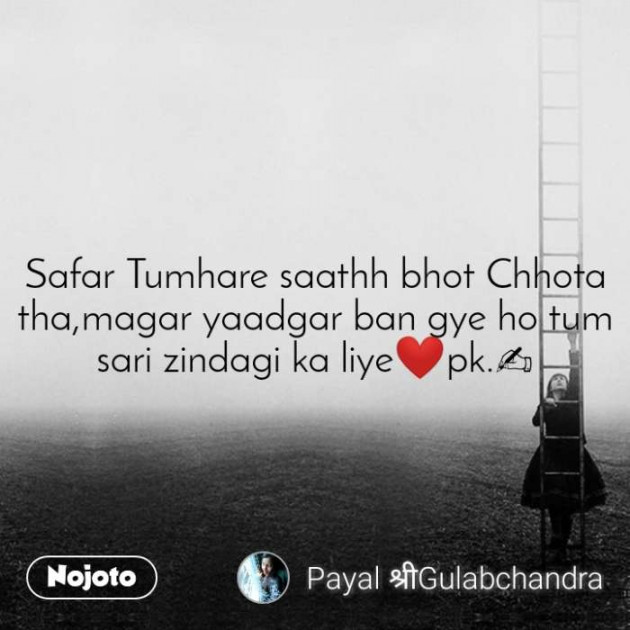 Hindi Blog by Payal Kushwah : 111324340