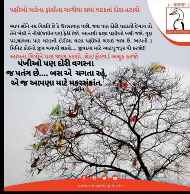 Gujarati Motivational by Sangita Behal : 111324771