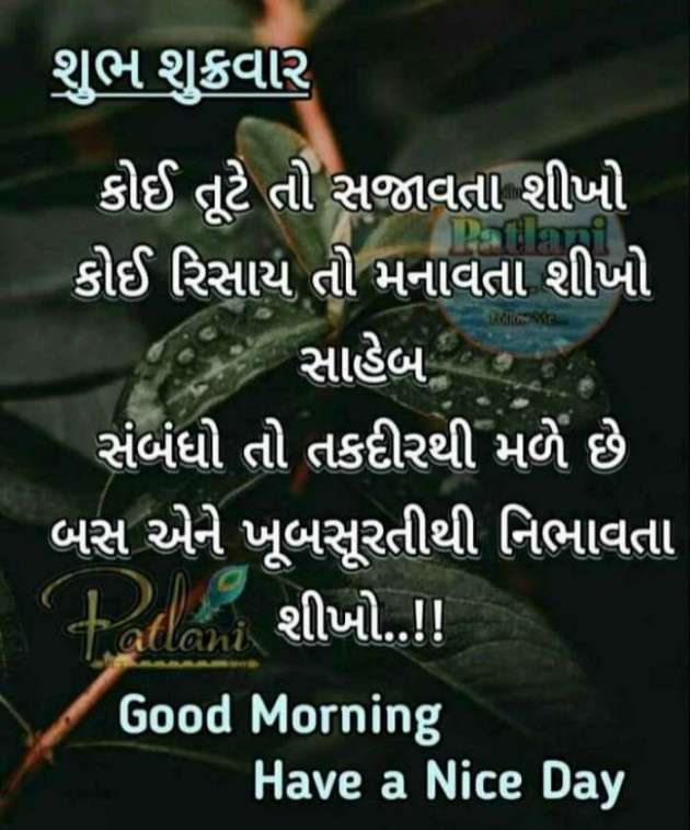 English Whatsapp-Status by કવિરાજ : 111325187