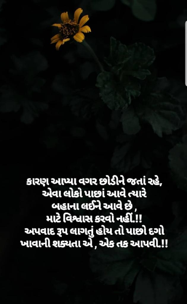 Gujarati Motivational by Taran_Goswami : 111325310