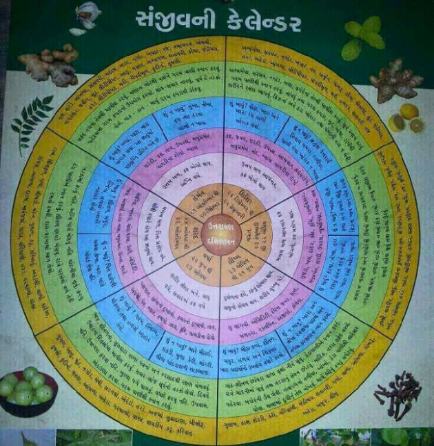 Gujarati Religious by Jagdish Manilal Rajpara : 111325906
