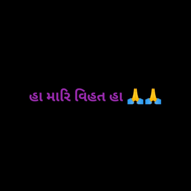 Gujarati Song by Palak Havaj Rabari : 111325920