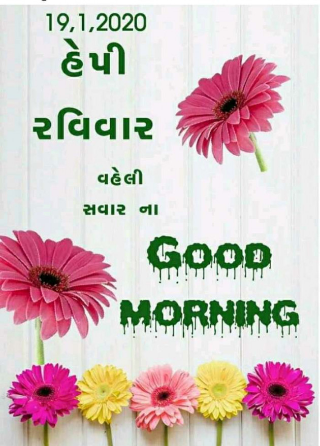 Gujarati Good Morning by Harshad Patel : 111326423
