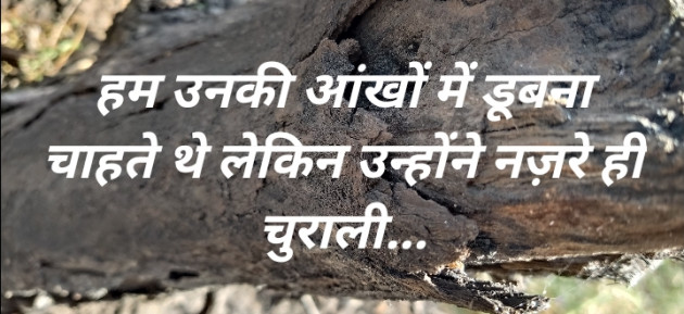 Hindi Blog by Urvashiba : 111327359