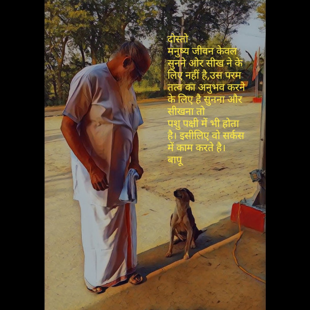Hindi Motivational by Vaishali Kubavat : 111327594