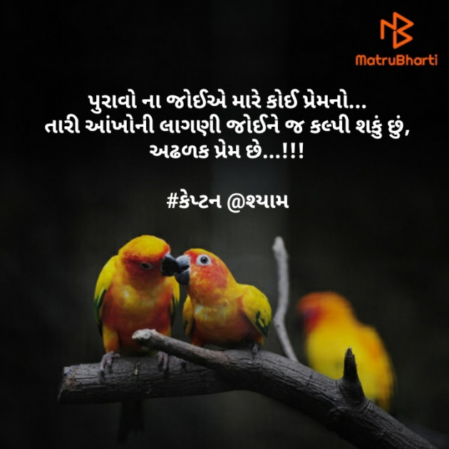 Gujarati Blog by Nirav Patel SHYAM : 111328127