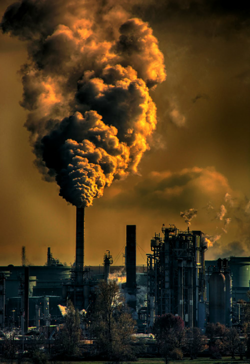 Post by I Am Environment on 24-Jan-2020 09:28am