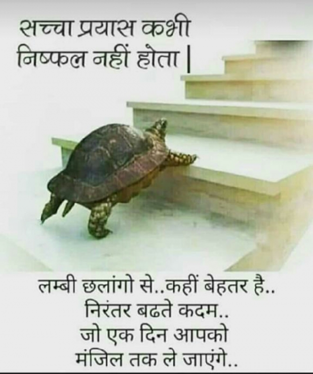 Hindi Blog by some pain : 111329569
