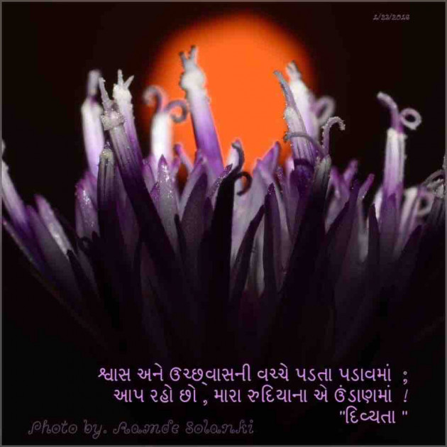 Gujarati Shayri by Divya Soni : 111329766