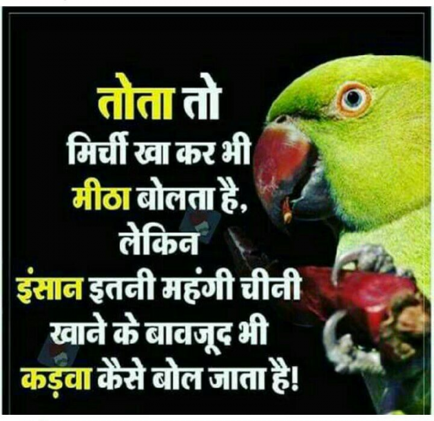 Hindi Blog by some pain : 111329919