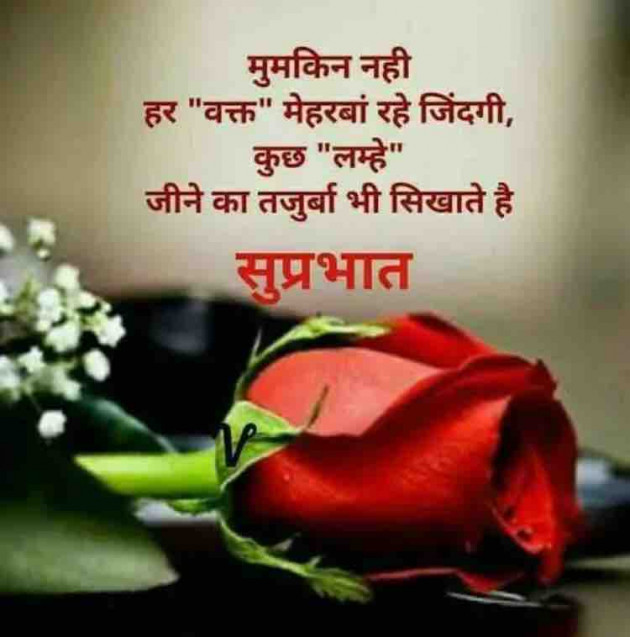 English Good Morning by paresh patel : 111331659