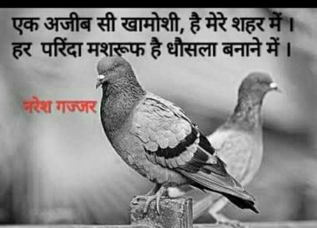 Hindi Thought by Naresh Gajjar : 111333173