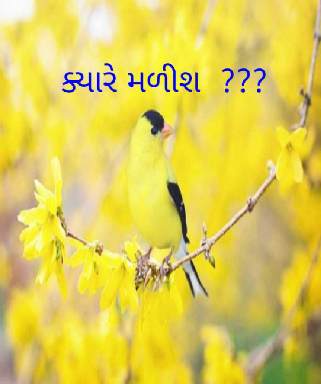 Gujarati Poem by Tejal Vaghasiya . : 111333299