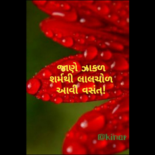 Gujarati Hiku by Kinar Rana : 111333480