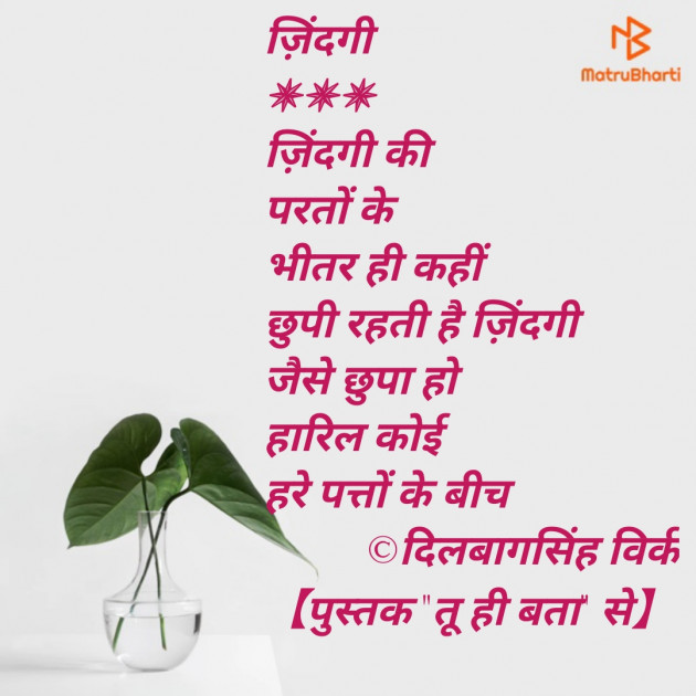 Hindi Blog by Dr. Dilbag Singh Virk : 111336145