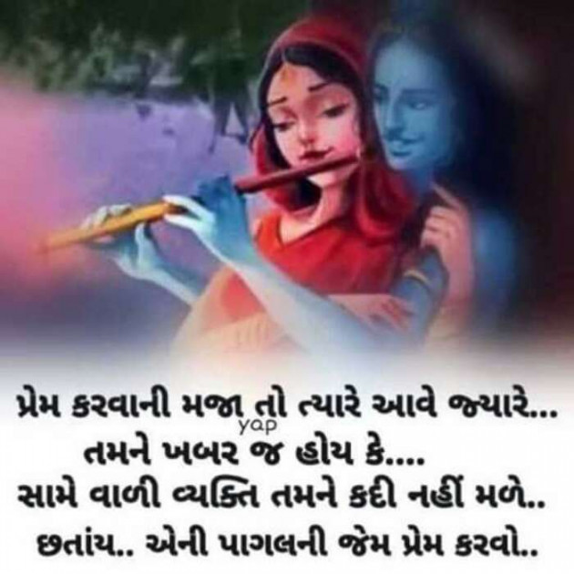 Gujarati Good Evening by Shidhpura Navnit : 111336164