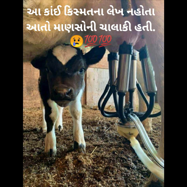 Gujarati Microfiction by Aniruddhsinh Vaghela Vasan Mahadev : 111336278