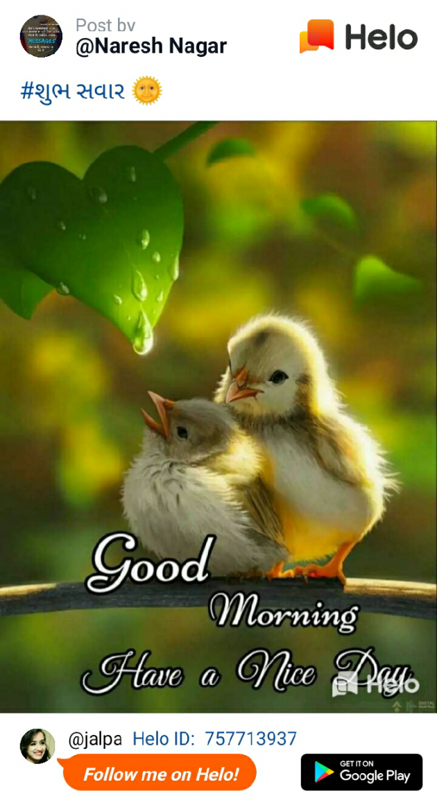 English Good Morning by Jalpa Rana : 111336458