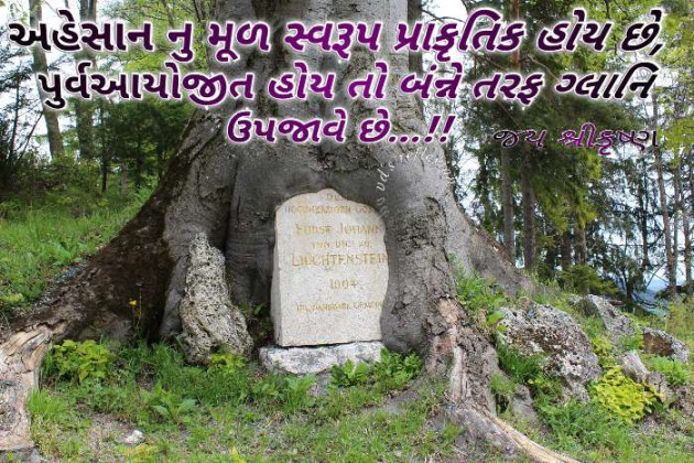 Gujarati Thought by vd : 111336518
