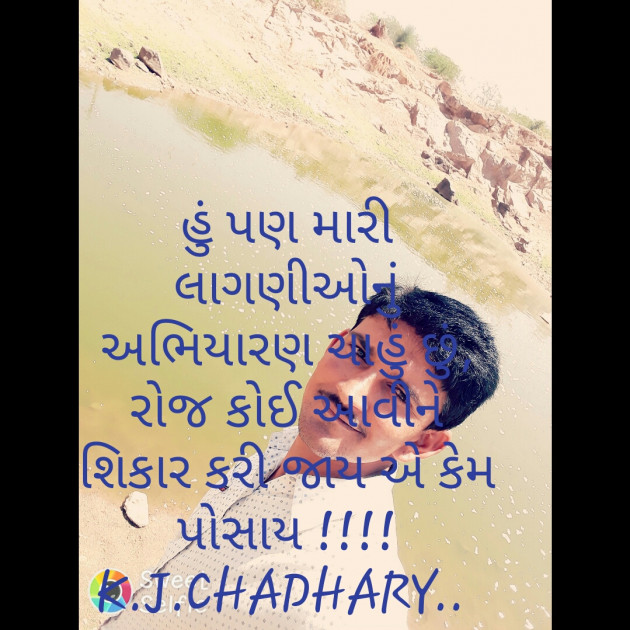 Gujarati Blog by Chaudhary Khemabhai : 111336988
