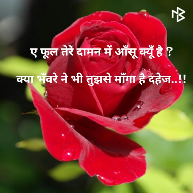 Hindi Whatsapp-Status by Tinu Rathod _તમન્ના_ : 111337745