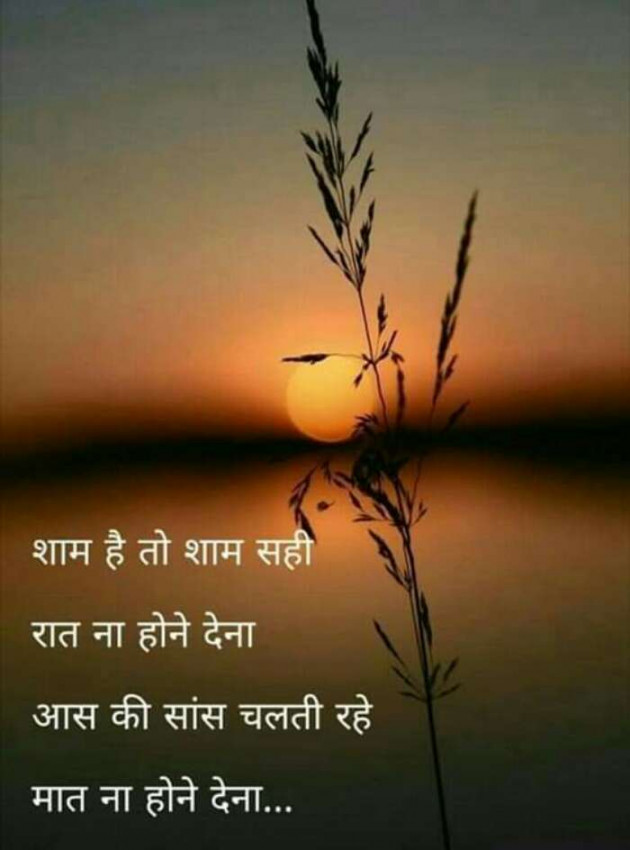 Hindi Blog by Vishal : 111338254
