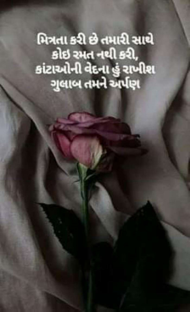 Gujarati Blog by Ritu Thakar : 111339040