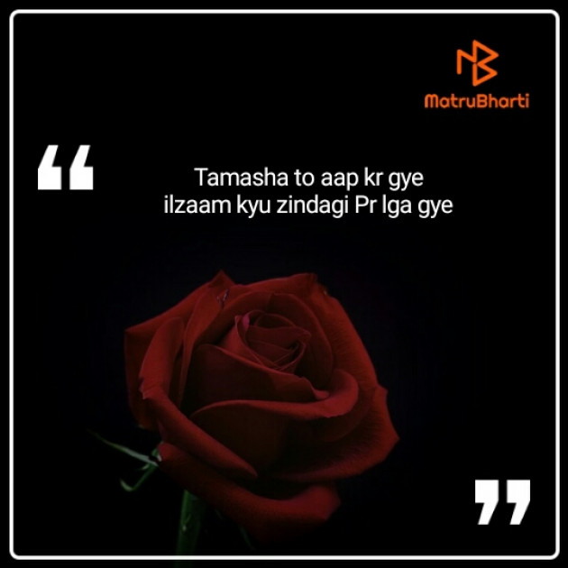 Hindi Blog by Zindagi : 111339152