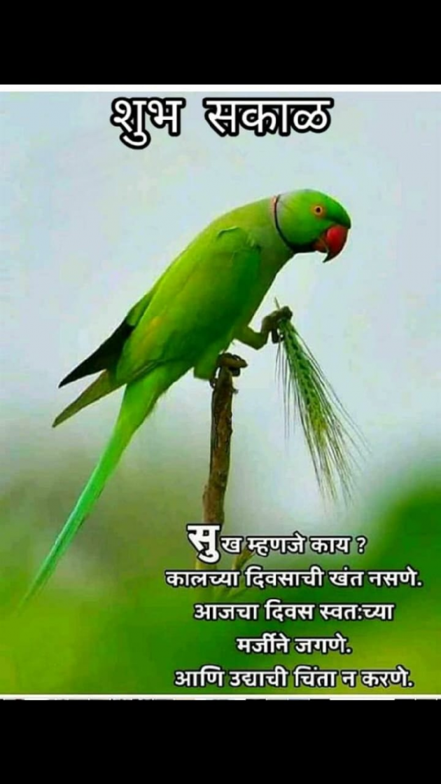 Marathi Good Morning by मच्छिंद्र माळी : 111339257