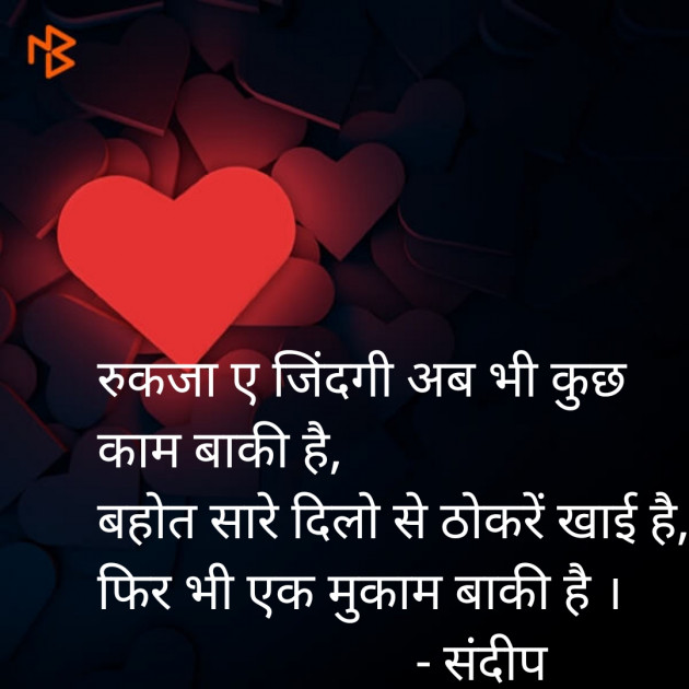 Hindi Blog by Sandeep Patel : 111341054