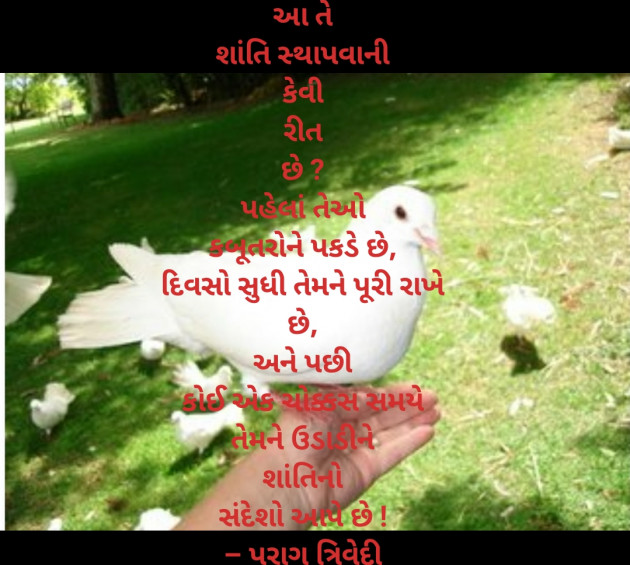 Gujarati Poem by Rakesh Thakkar : 111341413