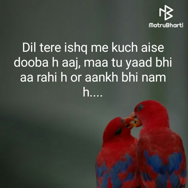 Hindi Blog by Dnehad : 111341498