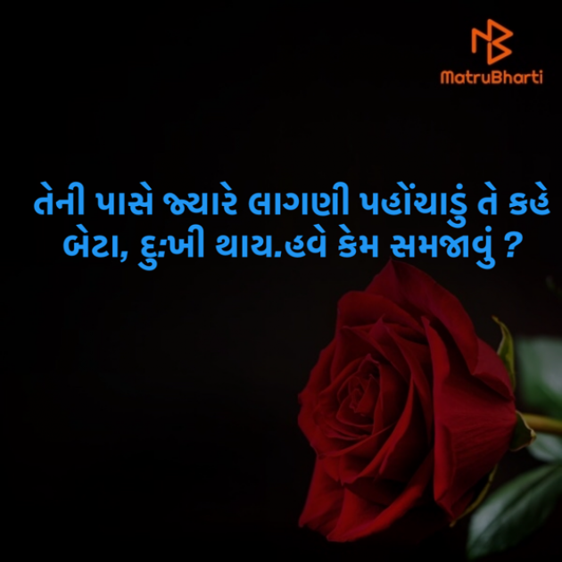 Gujarati Hiku by SARMAN RAM : 111342070