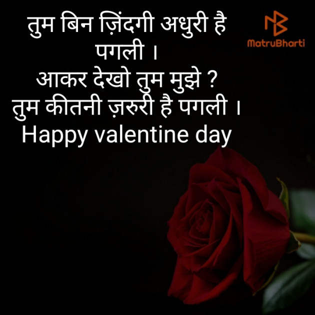 Hindi Blog by Narendra Parmar : 111342158