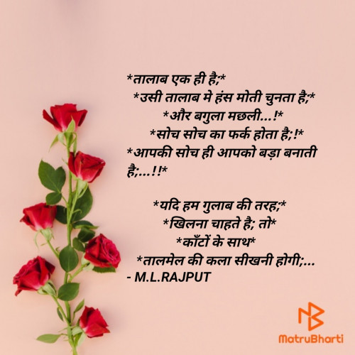 Post by Maulik.RAJPUT on 15-Feb-2020 10:19am