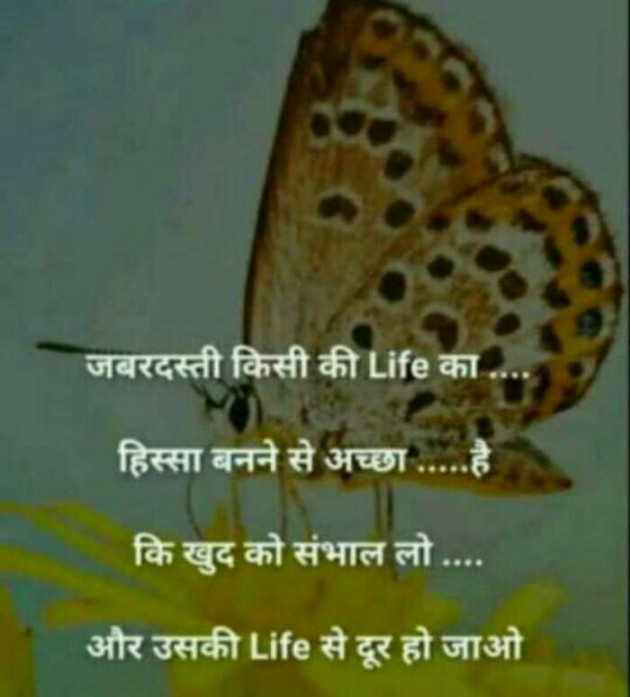 Hindi Blog by Jassi Albert : 111342561