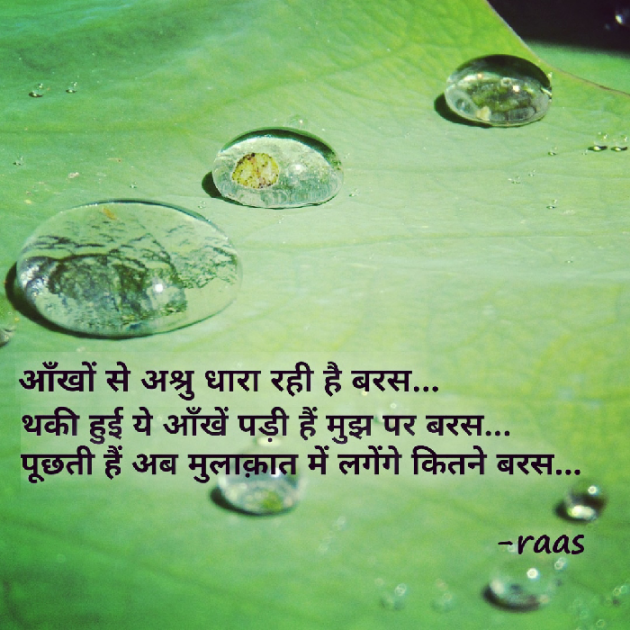 English Shayri by Rashesh Rehi : 111342582