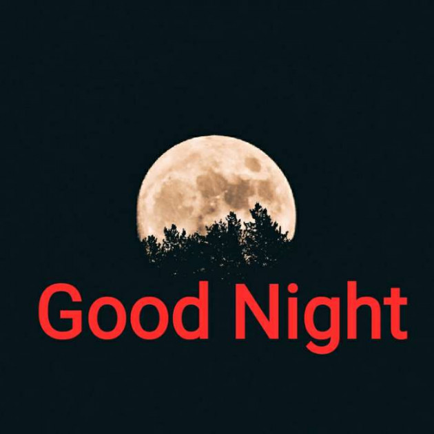 English Good Night by Harshad Patel : 111343135