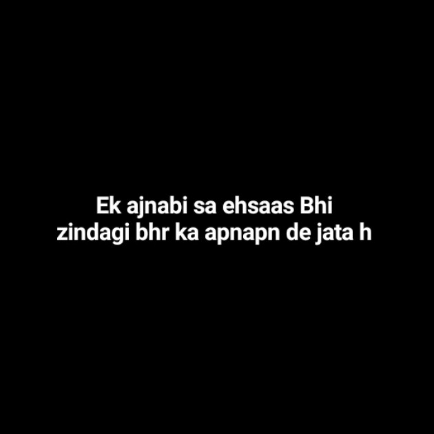 Hindi Blog by Zindagi : 111343205
