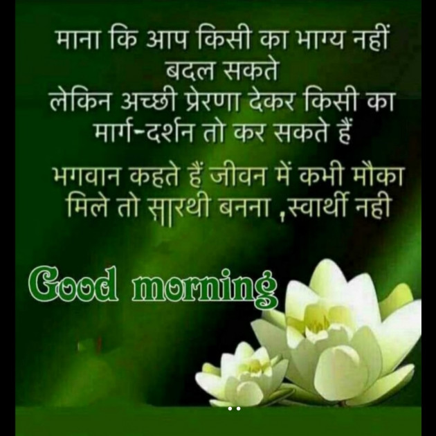 Hindi Thought by DR..... : 111343846